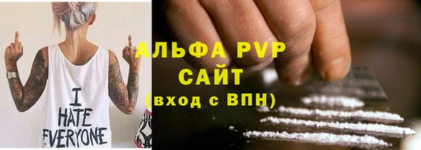хмурый Бородино