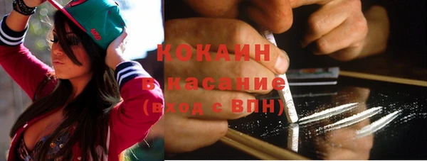 хмурый Бородино