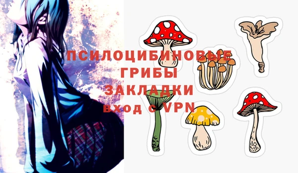 скорость Богданович