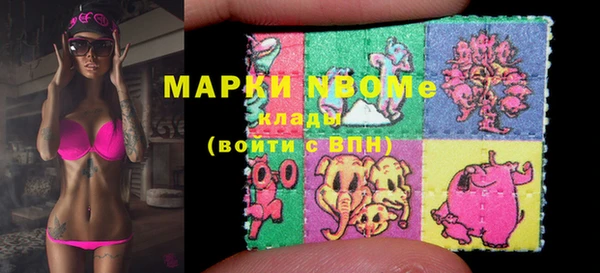 хмурый Бородино